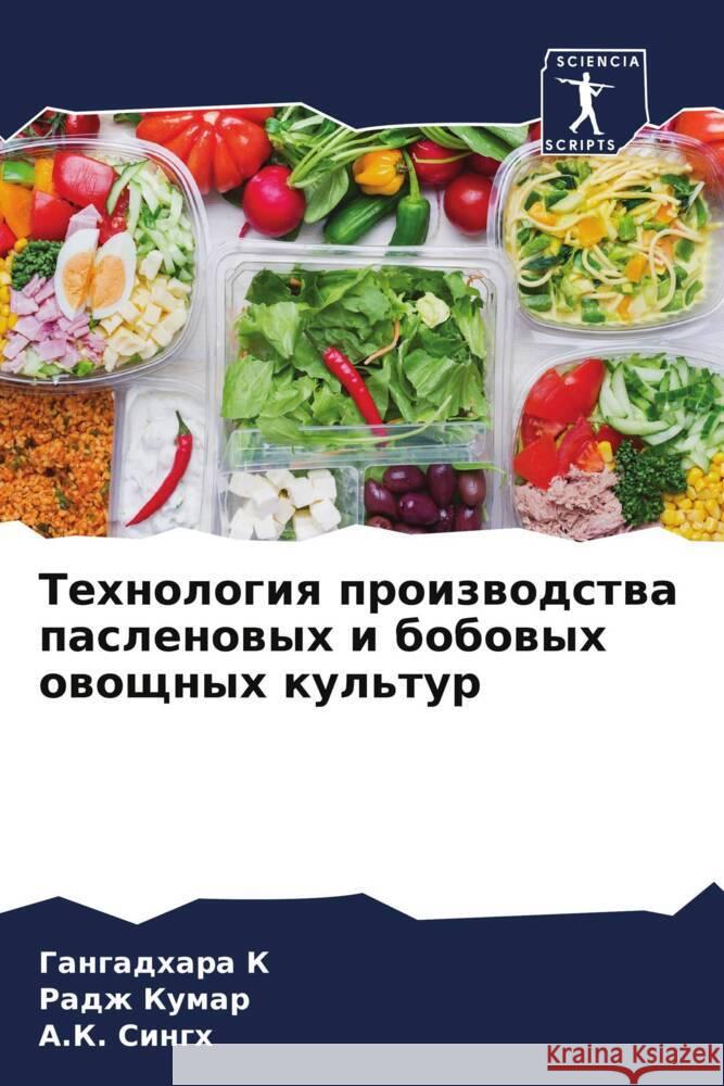 Технология производств&# Ганг К  Кумар  Сингх 9786207162697 Sciencia Scripts - książka
