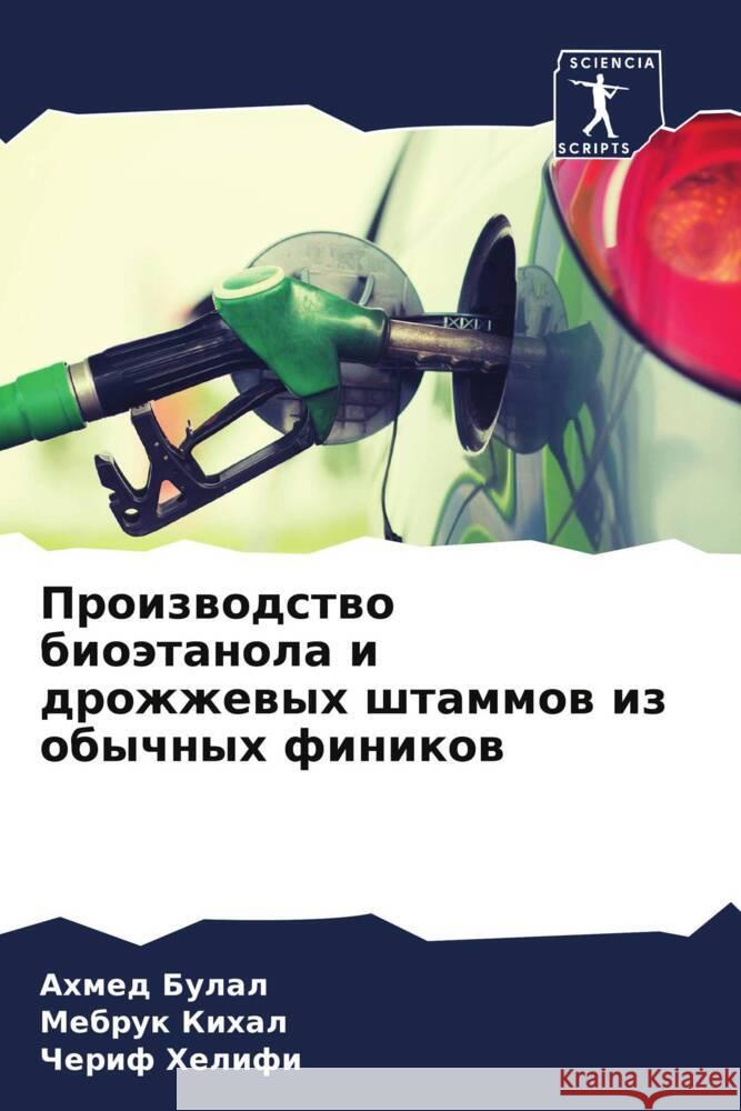 Производство биоэтанол&#  Булал  Кихал Хелифl 9786207406593 Sciencia Scripts - książka