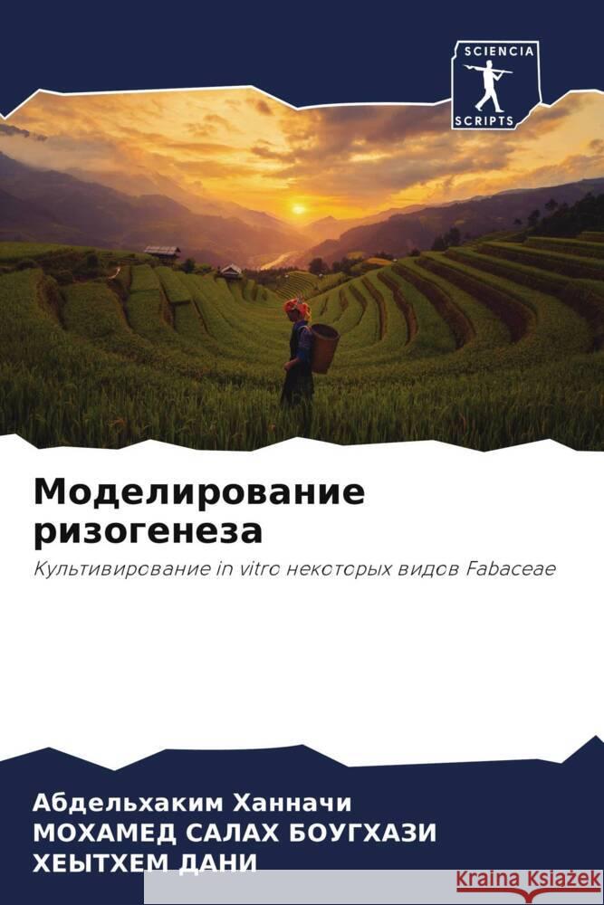 Моделирование ризогене&# Ханнаm БОУГХh Х ДАНИ 9786207444977 Sciencia Scripts - książka