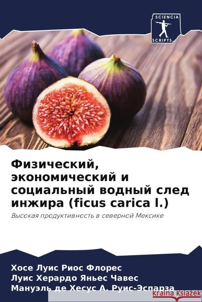 Физический, экономическ& Риос Ф
 Яньес 
 А. Руис-j 9786207514298 Sciencia Scripts - książka