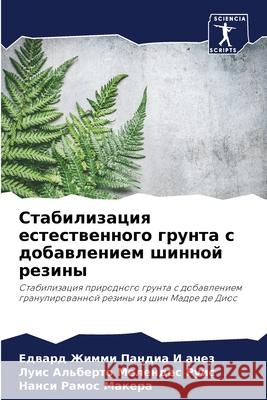 Стабилизация естествен&# Пандиk Меленk Макер 9786207697229 Sciencia Scripts - książka