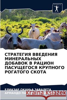СТРАТЕГИЯ ВВЕДЕНИЯ МИНЕ& ОКАНЬh 9786203677089 Sciencia Scripts - książka