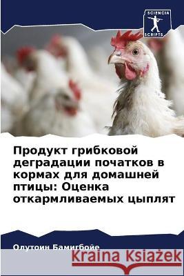 Продукт грибковой дегра& Бамигk 9786204178363 Sciencia Scripts - książka