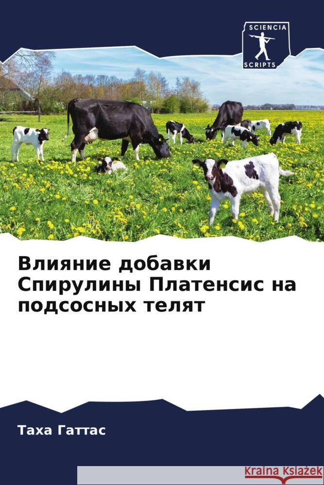 Влияние добавки Спирули& Гаттаl Давоуk 9786204648354 Sciencia Scripts - książka