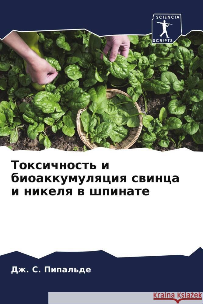 Токсичность и биоаккуму& Пипалn Дотанl Р. Жаин 9786205204047 Sciencia Scripts - książka