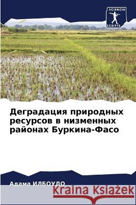 Деградация природных ре& ИЛБОУh 9786205328415 Sciencia Scripts - książka