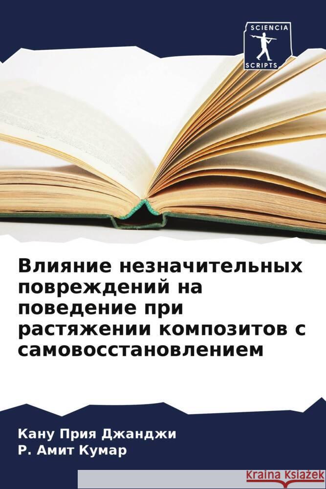 Влияние незначительных & Джандk  Кумар 9786205674109 Sciencia Scripts - książka