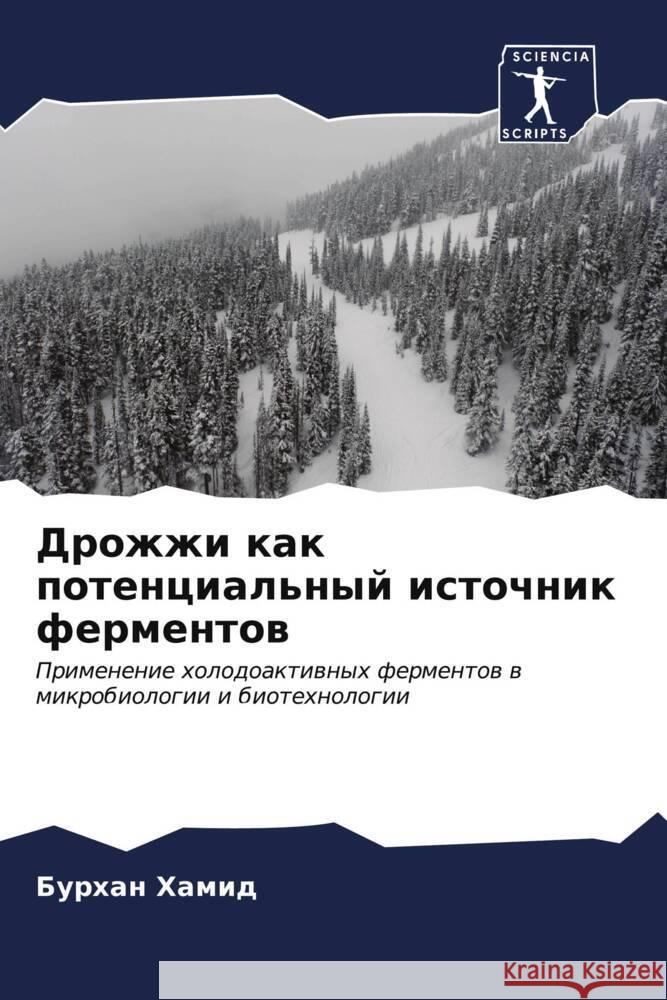 Дрожжи как потенциальны&  Хамид 9786206651420 Sciencia Scripts - książka