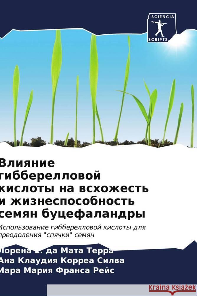 Влияние гибберелловой к&  Терра Корреk Франс
 9786206656234 Sciencia Scripts - książka