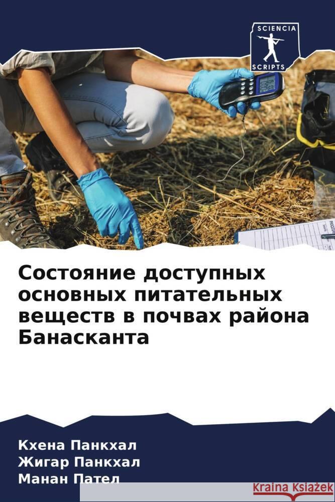 Состояние доступных осн& Панкхk Панкхk  Пател 9786206663843 Sciencia Scripts - książka
