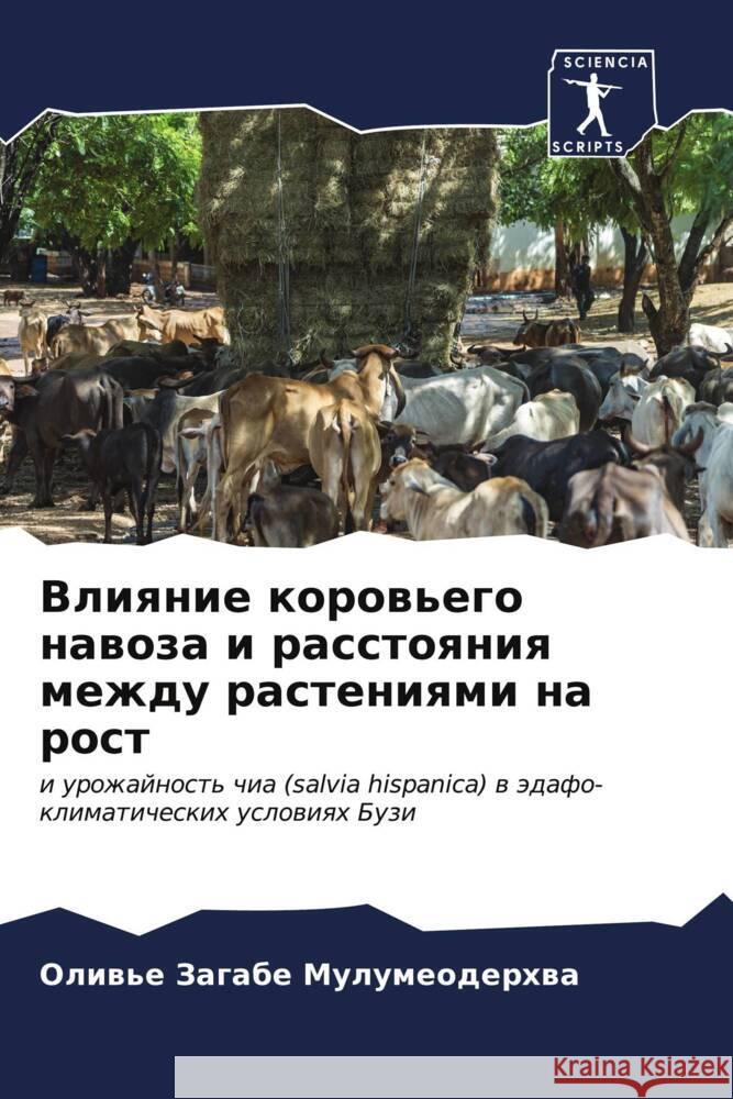 Влияние коровьего навоз& Загабk 9786206921325 Sciencia Scripts - książka