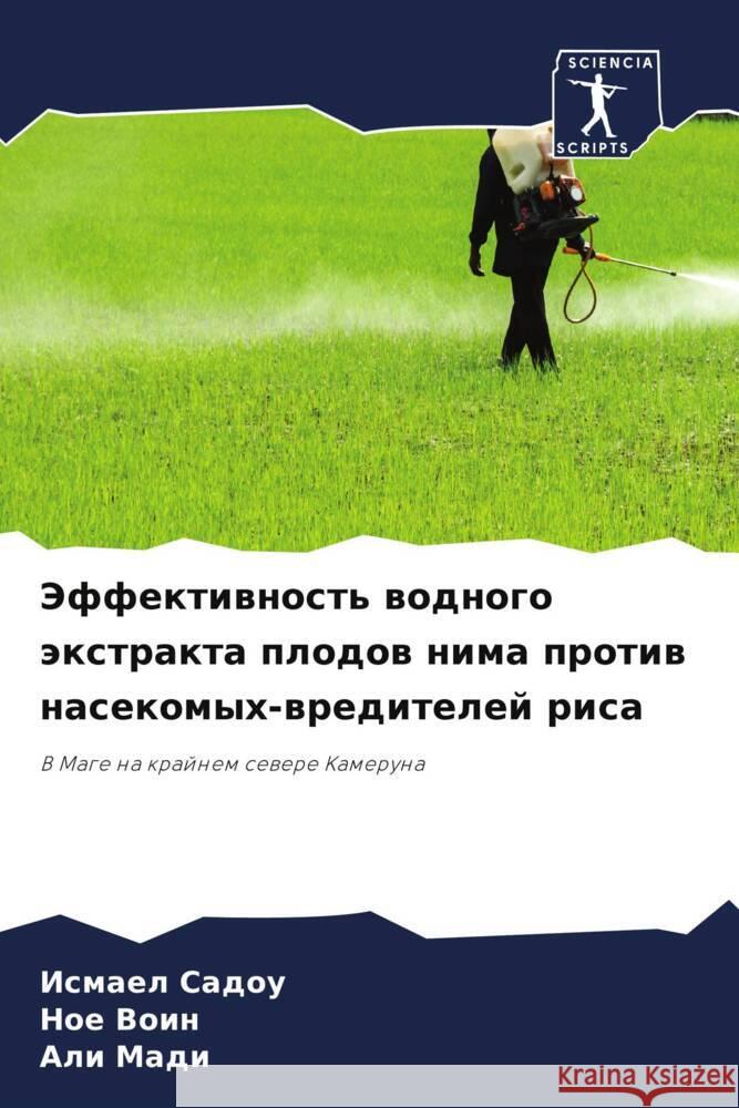 Эффективность водного э&  САДОУ Н Воин А Мади 9786206944065 Sciencia Scripts - książka