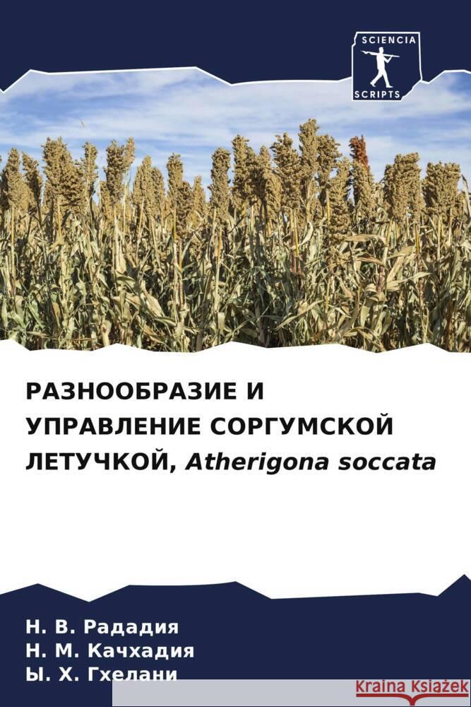 РАЗНООБРАЗИЕ И УПРАВЛЕН& Рададl Качхаk Гхела 9786207151073 Sciencia Scripts - książka