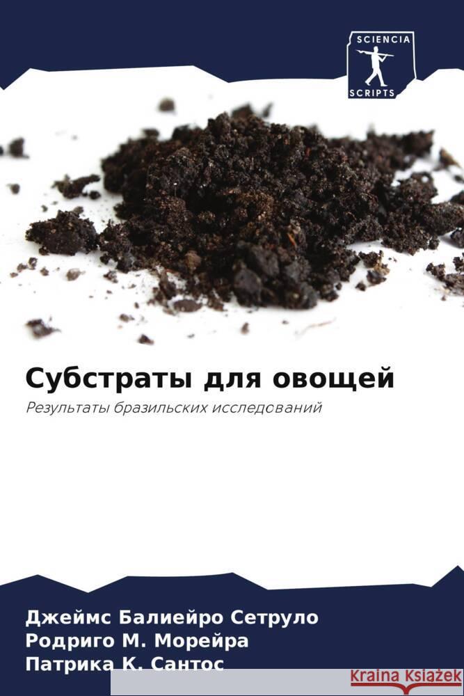 Субстраты для овощей Балиеl M. Морейр& К. Санто 9786207503421 Sciencia Scripts - książka