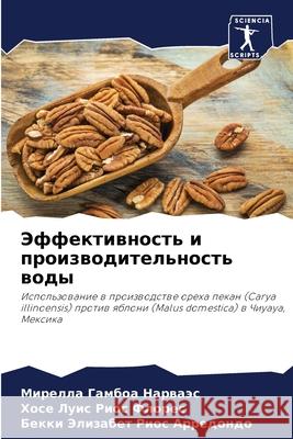 Эффективность и произво& Гамбоk Риос Ф
 Риос А&# 9786207675456 Sciencia Scripts - książka