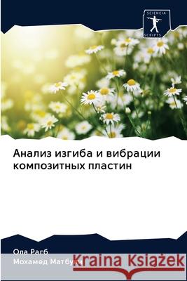 Анализ изгиба и вибрации Рагб, О 9786200973610 Sciencia Scripts - książka