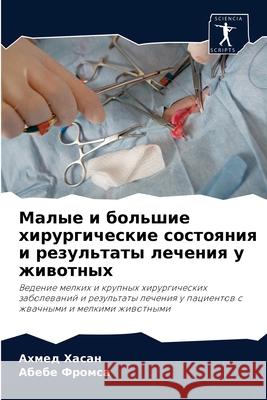 Малые и большие хирургич Хасан, 9786204083292 Sciencia Scripts - książka