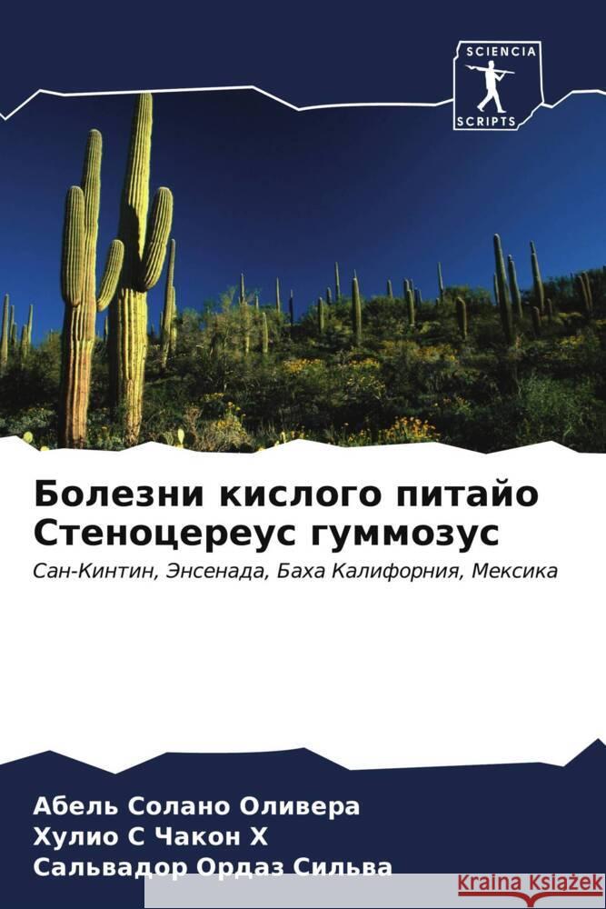 Болезни кислого питайо С Соланl Чакон 
 Ордаз &# 9786206584360 Sciencia Scripts - książka