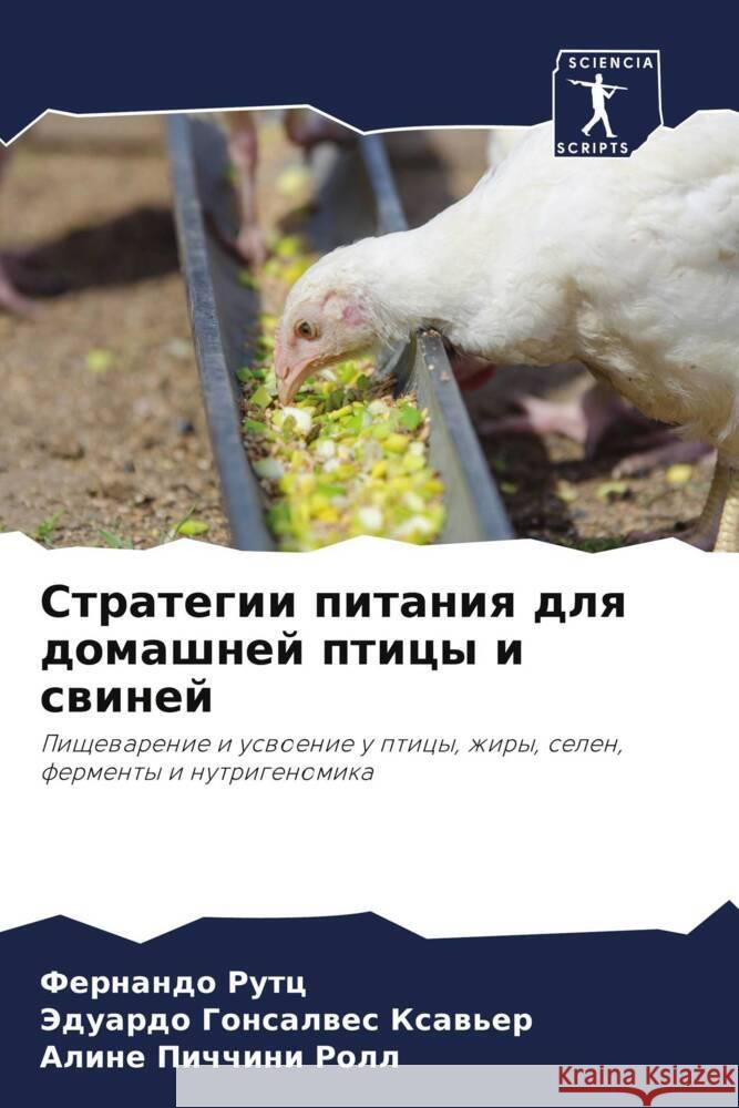 Стратегии питания для до Ф Рутц Гонсаl Пиччи
 9786207236572 Sciencia Scripts - książka