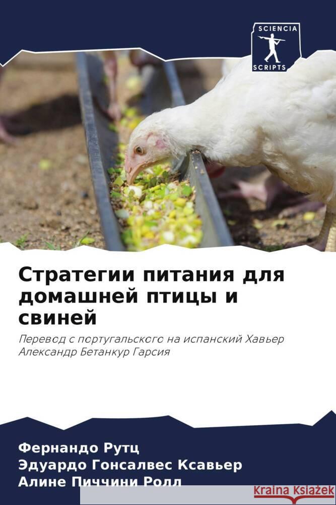 Стратегии питания для до Ф Рутц Гонсаl Пиччи
 9786207284832 Sciencia Scripts - książka