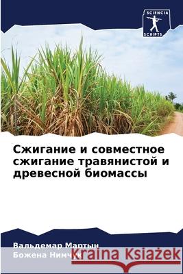 Сжигание и совместное сж Мартыl Нимчуl 9786207568048 Sciencia Scripts - książka