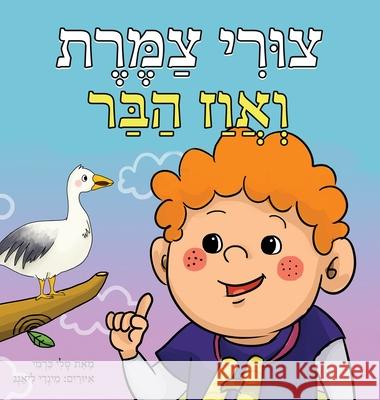 צורי צמרת ואווז הבר כרמי, ט 9789655752335 Valcal Software Ltd - książka