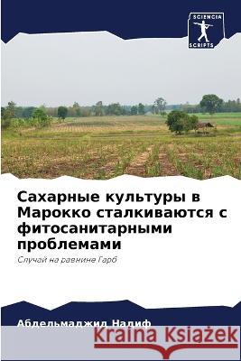 Сахарные культуры в Марокко стал Абделn   9786203165753 International Book Market Service Ltd - książka