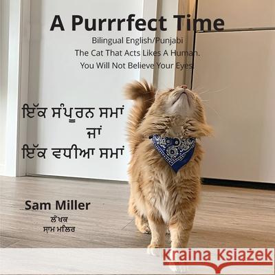 ਇੱਕ ਸੰਪੂਰਨ ਸਮਾਂ ਜਾਂ ਇੱਕ ਵă Miller, Sam 9781777549022 Armed Bandit Publishing - książka