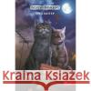 Коти - вояки Манґа 1 Пригоди Сіросмуга Зниклий вояк Ерін Гантер 9786177995431 ACCA