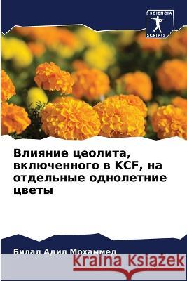 Влияние цеолита, включенного в Kcf, н& Билал Адил Мохаммед 9786205354629 Sciencia Scripts - książka