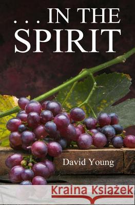 . . . In The Spirit Young, David 9781478188742 Createspace - książka