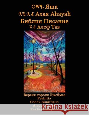 Яша Ахая Ahayah Библия Писание Sorsdahl, Timothy Neal 9781771434508 CCB Publishing - książka