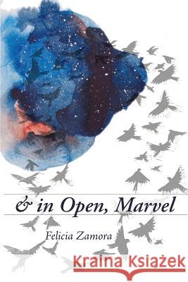 & in Open, Marvel Felicia Zamora 9781602359840 Parlor Press - książka