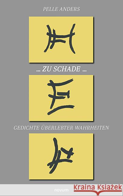 ... zu schade ...: Gedichte ?berlebter Wahrheiten Pelle Anders 9783991469636 Novum Pro - książka