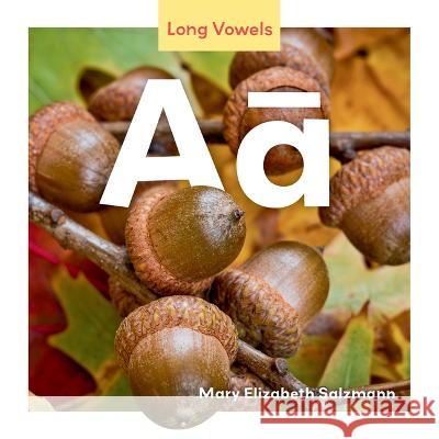 Aā Mary Elizabeth Salzmann 9781098282615 Launch! - książka