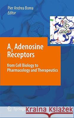 A3 Adenosine Receptors from Cell Biology to Pharmacology and Therapeutics Pierandrea Borea Pier Andrea Borea 9789048131433 Springer - książka