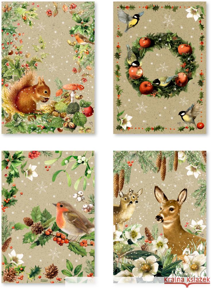 A5-Graspapier-Adventskalender-Sortiment  4050003952833 Coppenrath, Münster - książka