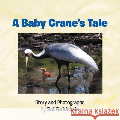 A Baby Crane's Tale Sol Goldstein 9781479739288 Xlibris Corporation - książka