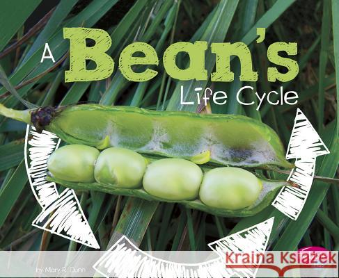 A Bean's Life Cycle Mary R. Dunn 9781515770572 Capstone Press - książka