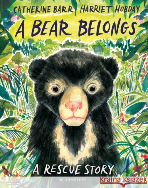 A Bear Belongs: A rescue story Catherine Barr 9781526655684 Bloomsbury Publishing PLC - książka