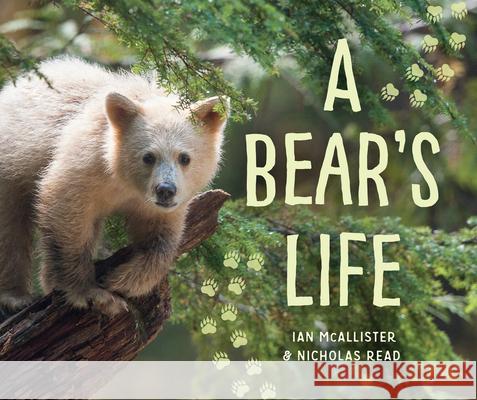 A Bear's Life Ian McAllister Nicholas Read 9781459812703 Orca Book Publishers - książka