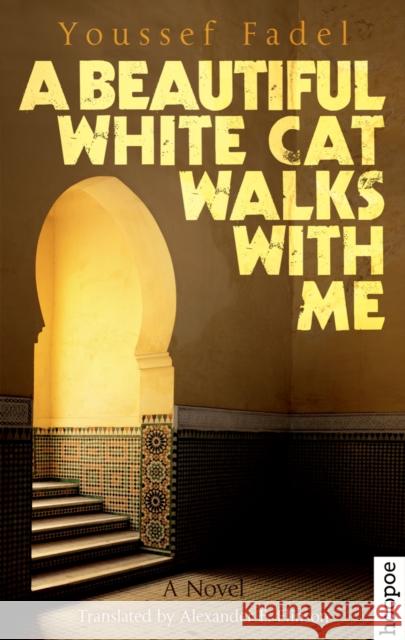 A Beautiful White Cat Walks with Me: A Novel Youssef Fadel 9789774167768 American University in Cairo Press - książka