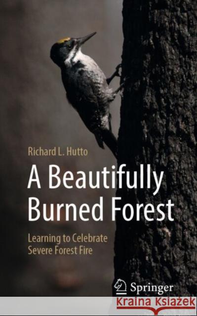 A Beautifully Burned Forest: Learning to Celebrate Severe Forest Fire Richard L. Hutto 9783032031792 Springer - książka
