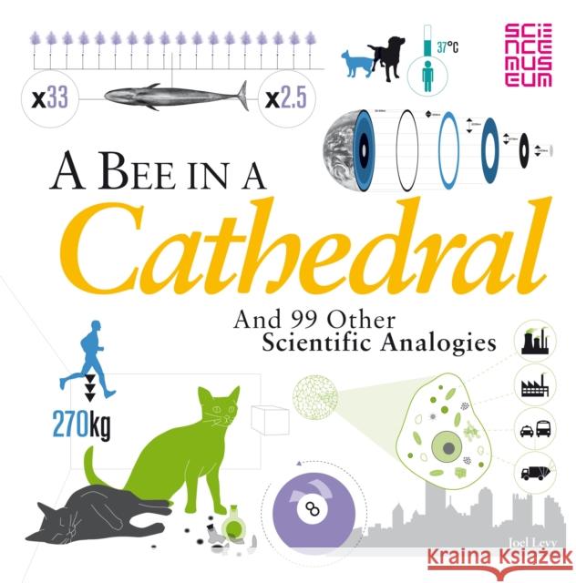 A Bee in a Cathedral : And 99 other scientific analogies Joel Levy 9781408171820  - książka