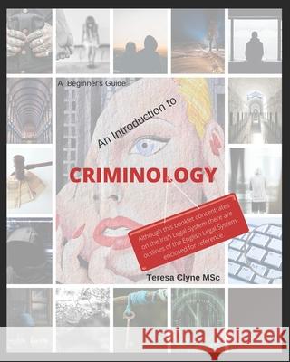 A Beginner's Guide - An Introduction to Criminology: A plain English guide to Criminology Clyne, Teresa 9781545504338 Createspace Independent Publishing Platform - książka