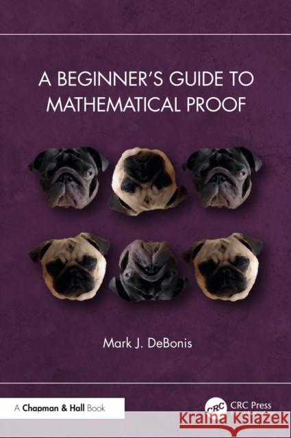 A Beginner's Guide to Mathematical Proof Mark J. (Manhattan College, USA) DeBonis 9781032687704 CRC Press - książka