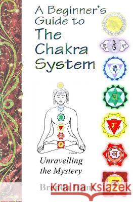 A Beginner's Guide to the Chakra System Brenda Hunt 9781484973066 Createspace - książka