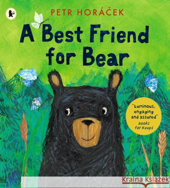 A Best Friend for Bear Petr Horacek 9781529512557 Walker Books Ltd - książka