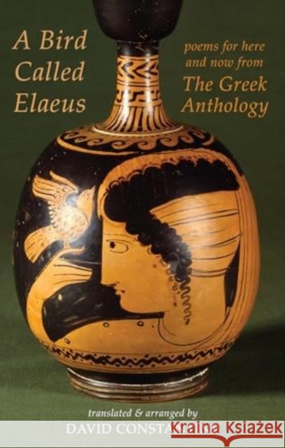 A Bird Called Elaeus: poems for here and now from The Greek Anthology David J. Constantine 9781780377223 Bloodaxe Books Ltd - książka