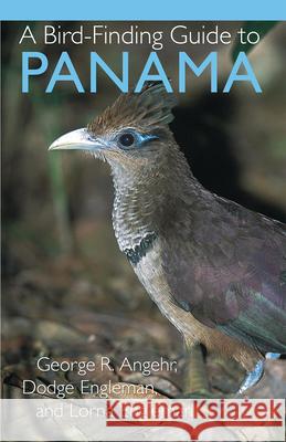 A Bird-Finding Guide to Panama George Angehr Dodge Engleman Lorna Engleman 9780801474231 Cornell University Press - książka